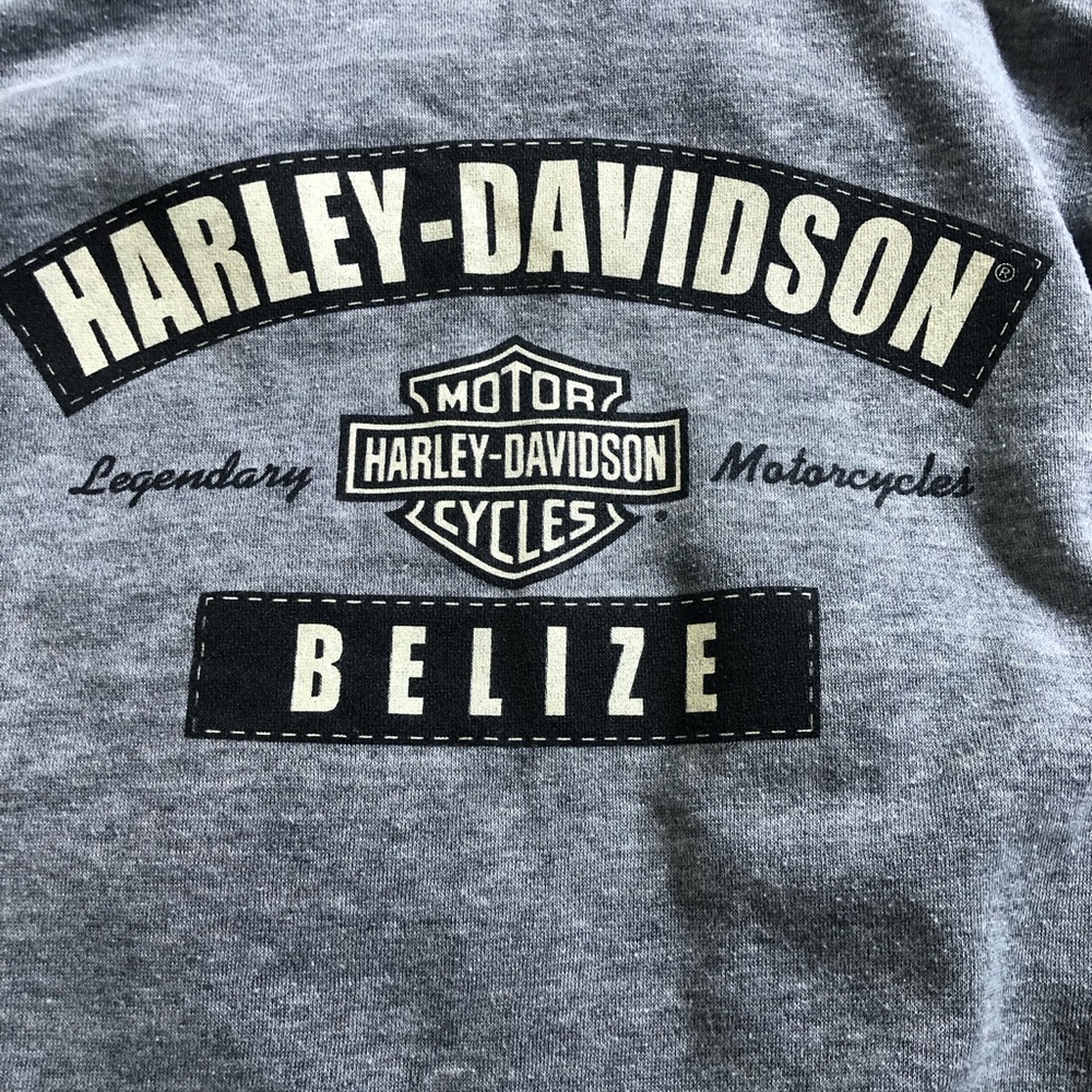 Harley-Davidson Heather Gray Full Zip Hoodie with Orange Trim Logo - Picture 6 of 6